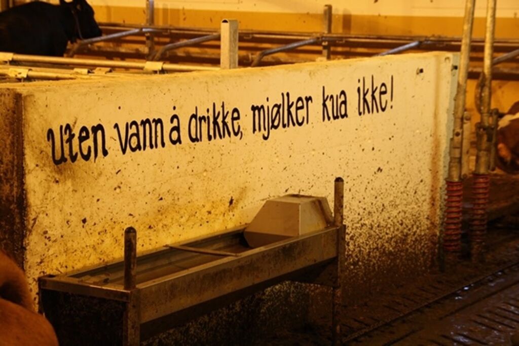 19f9cefdfb07230a68581d617885a3af.jpg