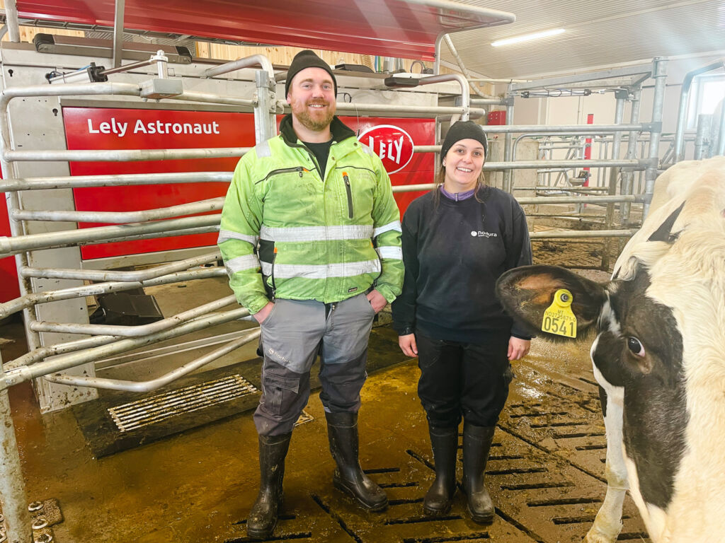 Bråten gard Rogne Valdres