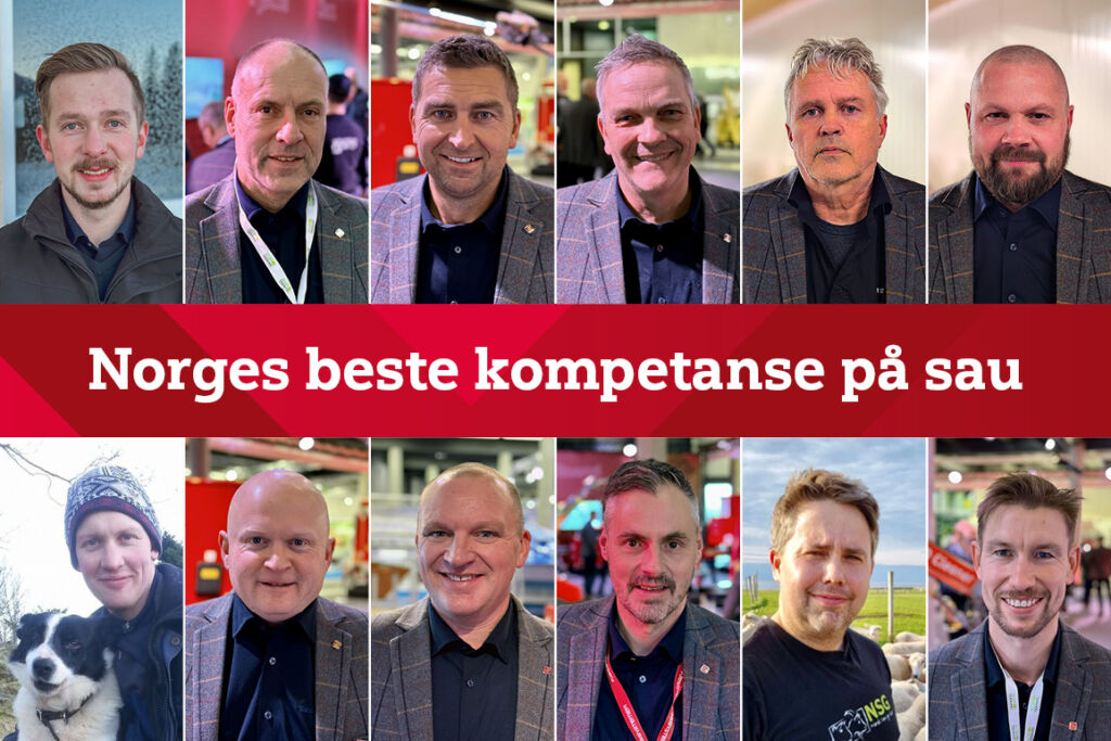 Team sau