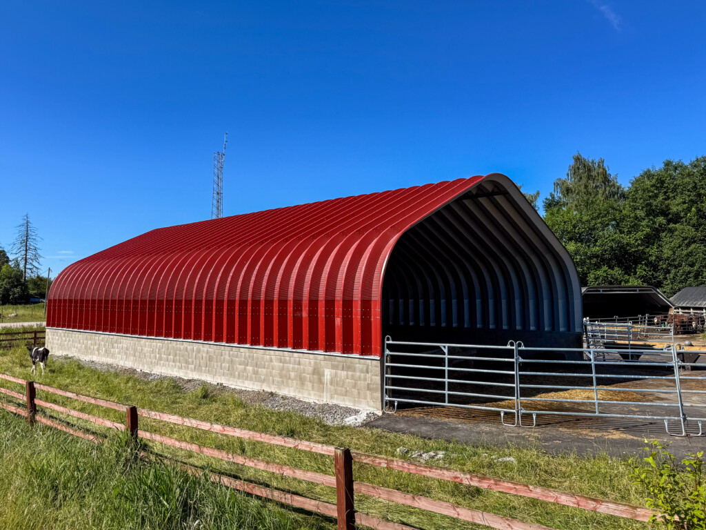 Buehall XXL