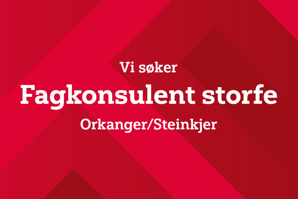 Fagkonsulent storfe, Orkanger,Steinkjer