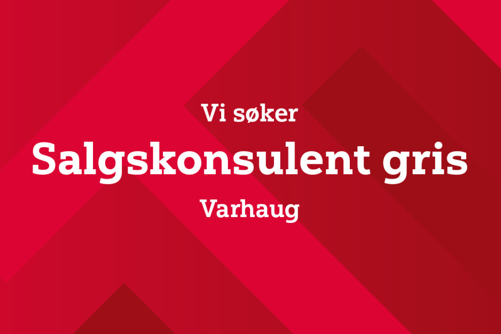 Salgskonsulent gris, Varhaug