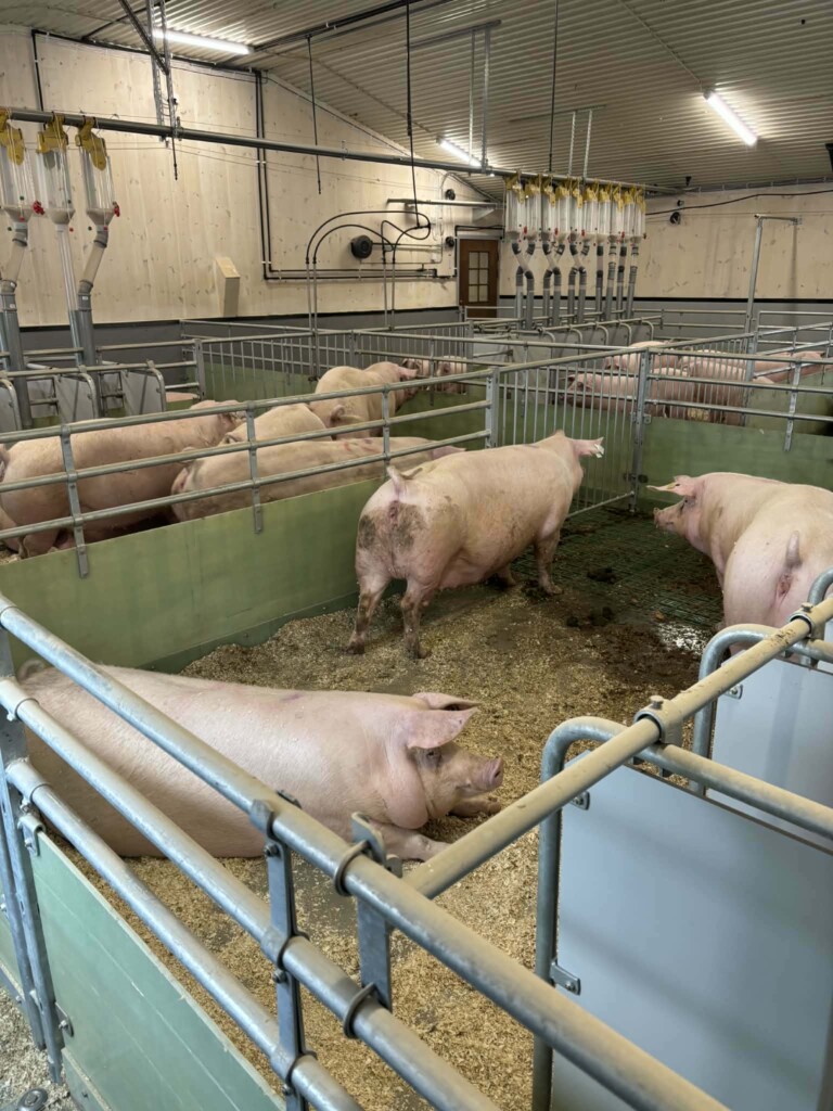 Kristin og Håkon Kvarving. Malvik 2026