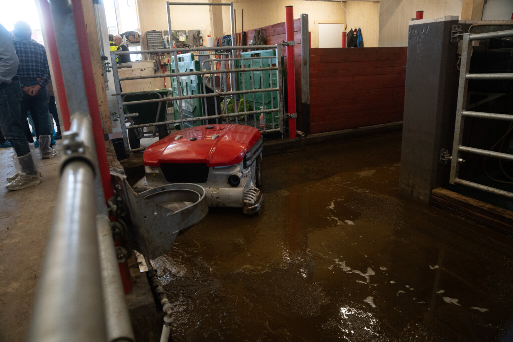 Lely Collector hos Roxana Stangebye. Sigdal, mai 2026