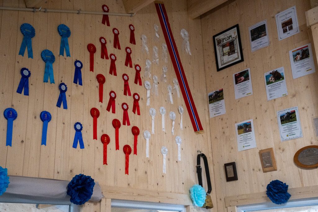 Noen av utmerkelsene Oddvar og Roxana Stangebye har mottat. Sigdal, mai 2026